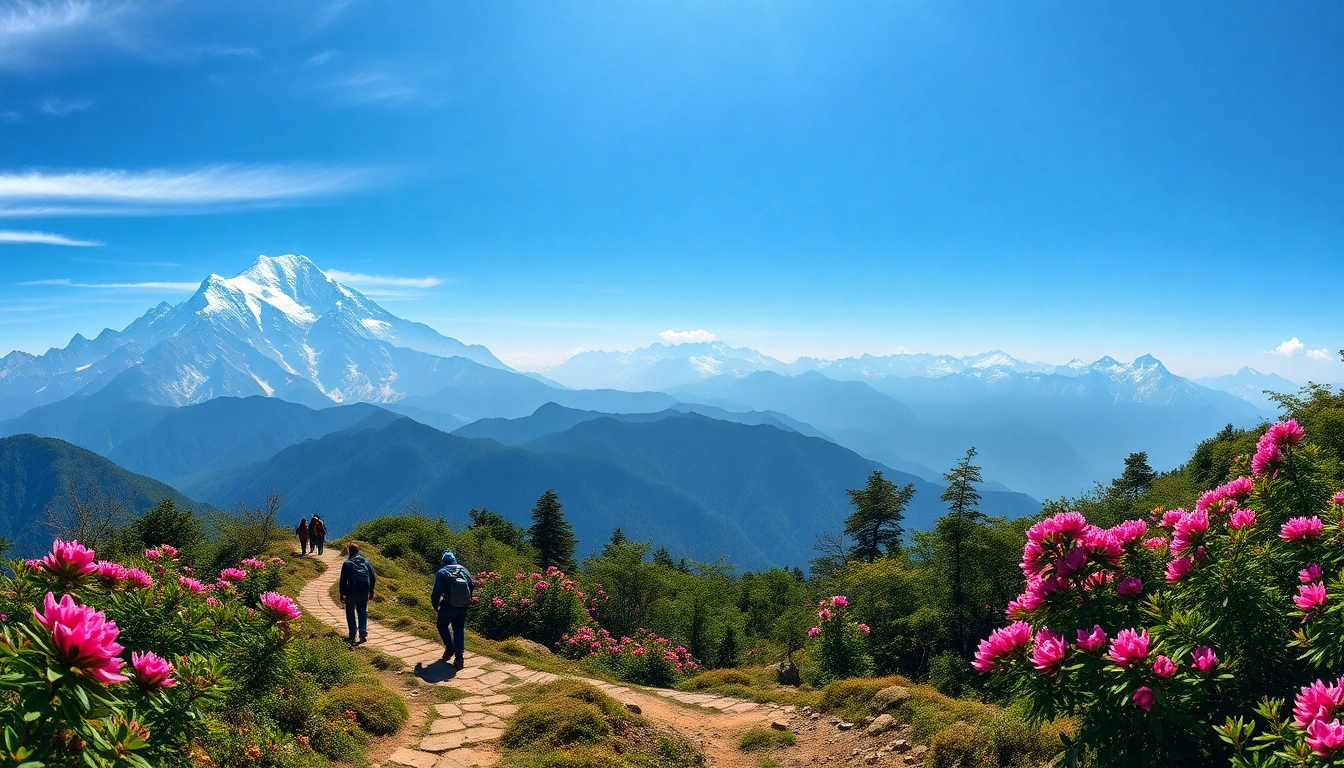 Experience the breathtaking Sandakphu trek with stunning mountain views and vibrant rhododendron forests. related image