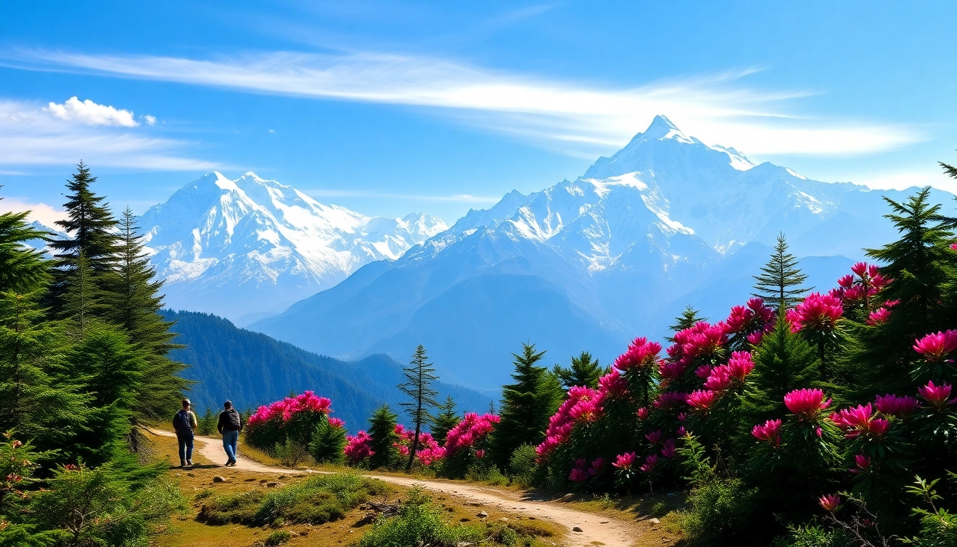 Your Guide to the Sandakphu Trek: Routes, Views, and Essential Tips